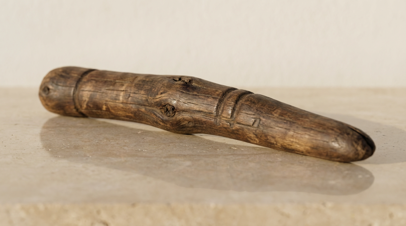 430,000-Year-Old Tools: Humanity's Oldest Genius Resurfaces